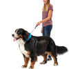 Nite Ize - Collar with Leash RadDog™ All-In-One - XL - Red - RRLXL-10-R3