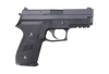 WE - Replica of F229 pistol - Black - WET-02-004070