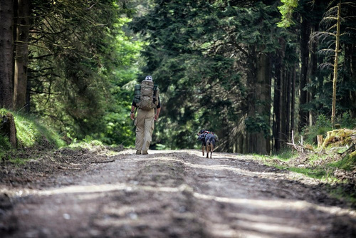 Helikon - SFU Next® Pants - Polish Woodland - SP-SFN-PR-04