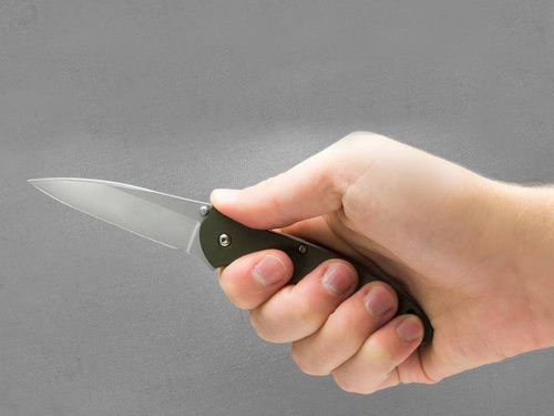 Kershaw - Leek Folding Knife - 1660OL