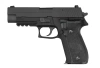 WE - Replica of F226 MK25 Pistol - Black - WET-02-003333