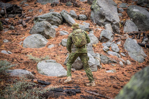 Direct Action - Ghost Mkii Backpack® - Ranger Green - BP-GHST-CD5-RGR