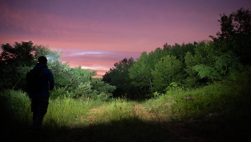 Olight - Rechargeable LED Headlamp ARRAY 2S - 1000 lm - 2600 mAh