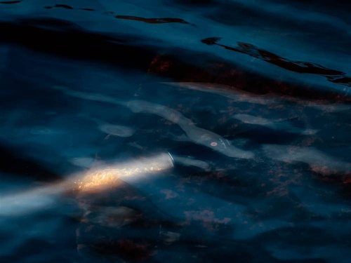 Fenix - TK30 rechargeable laser flashlight - 5000 mAh - 500 lumens