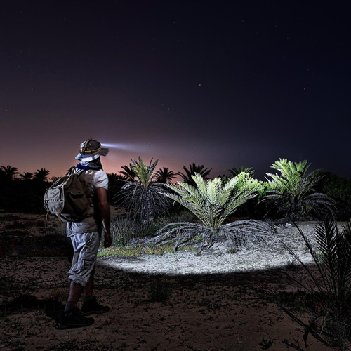 Fenix - Rechargeable LED Headlamp with 2600 mAh Battery - 1200 Lumens - HM60R