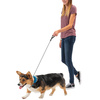 Nite Ize - Collar with Leash RadDog™ All-In-One - S - Red - RRLS-10-R3