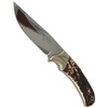 Muela - Full Tang Knife with Dear Stag - SETTER-11A
