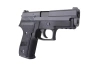WE - Replica of F229 pistol - Black - WET-02-004070