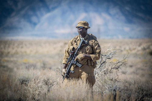 Helikon - BDU® Mk2 Tactical Pants - Coyote - SP-BD2-PR-11