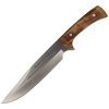 Muela - Full Tang Knife Olive wood 210mm - JABALI-21OL