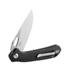 Ganzo - Firebird FH921 EDC Folding Knife - Liner Lock - D2 - FH921-BK