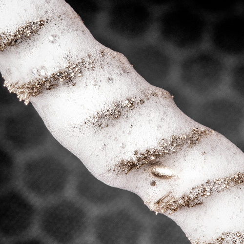 Real Avid - Bore-Max Speed Brush - .22 - AVBMSB22