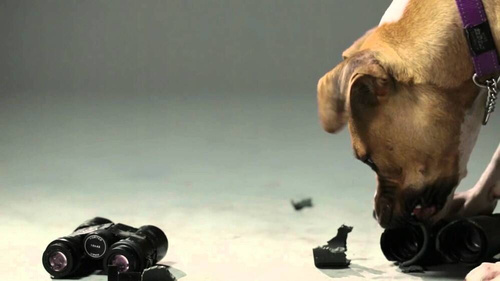 Vortex Optics - Spitfire AR 1x Prism Scope - SPR-200