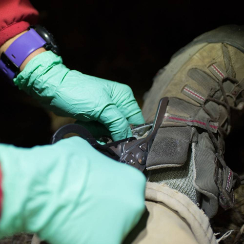 Leatherman - Multitool, Shears Raptor® Black - 831742