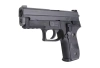 WE - Replica of F229 pistol - Black - WET-02-004070