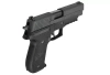 WE - Replica of F226 MK25 Pistol - Black - WET-02-003333