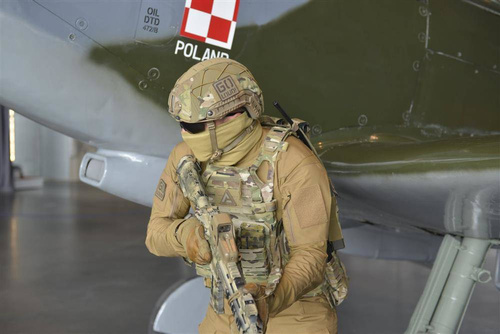 Direct Action - Tactical Vest Plate Carrier Spitfire - Ranger Green - PC-SPTF-CD5-RGR