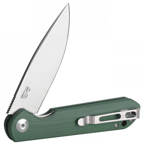 Ganzo - EDC Firebird FH41 Folding Knife - Liner Lock - D2 - Green - FH41-GB