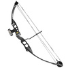 Poe Lang - Compound Bow Cobra Protex - 55 lb - 40.2" - Black - CO-030B-5529