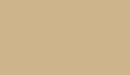 FOSCO - Camouflage Paint RAL 1001 - Marsh Grass