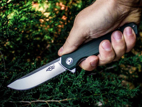 Ganzo - Firebird FH11 EDC Folding Knife - Liner Lock - D2 - FH11-GB