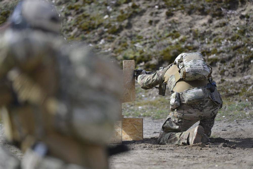 Direct Action - Spitfire Mk II Backpack Panel - 12L - MultiCam - PL-SPBK-CD5-MCM