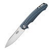 Ganzo - Folding Knife Firebird FH21-GY - D2 - Gray - FH21-GY