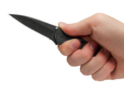 Kershaw - Leek Folding Knife -1660BLK
