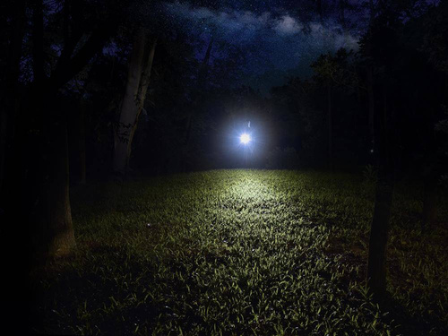 Fenix - LED Flashlight E12 V2.0 - 160 lm