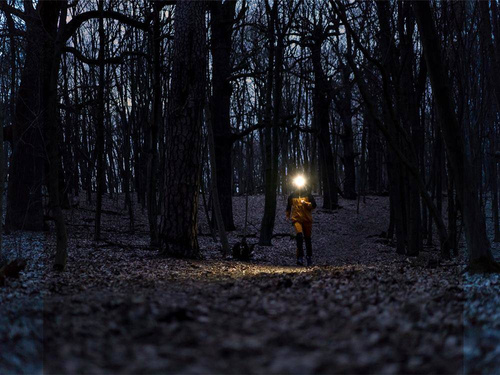 Fenix - LED Headlamp - 240 Lumens - AA - Black - HM23