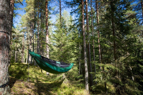 Ticket To The Moon - Pro Hammock with Mosquito Net - Forest Green - TMPRO51