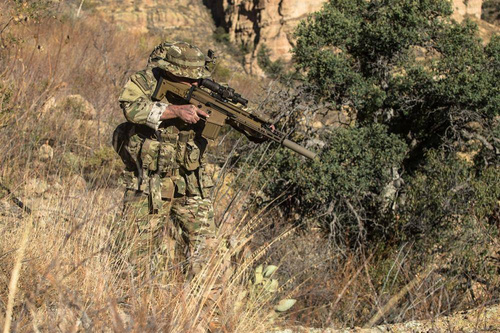 Direct Action - Hurricane Hybrid Chest Rig® - Cordura® - Coyote Brown - CR-HRCN-CD5-CBR