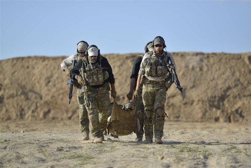 Direct Action - Combat Stretcher Tactical Stretcher - Adaptive Green - PO-CSTR-NLN-AGR