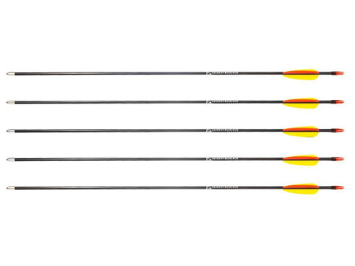 Poe Lang - Fiberglass Arrow - 28" - Smooth Target Point - 5 pcs. - D-055-B3