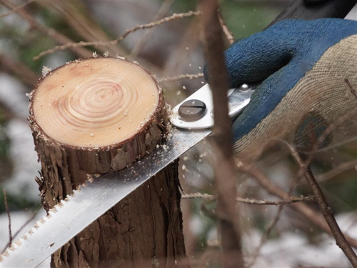 Silky - Folding Woodworking Saw - Gomboy 240-10 - KSI522124