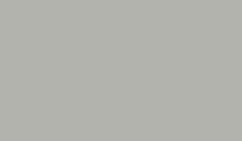 FOSCO - Camouflage Paint RAL 7038 - Grey