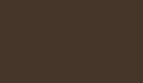 FOSCO - Camouflage Paint RAL 8027 - Mud Brown