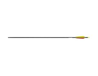 Poe Lang - Fiberglass Arrow - 30" - Sharp Point - D-030BK