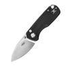 Ganzo - Folding Knife EDC Firebird FH925-BK - D2 - Black - FH925-BK