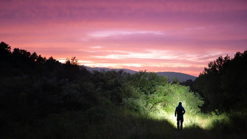 Olight - Rechargeable LED Headlamp ARRAY 2S - 1000 lm - 2600 mAh