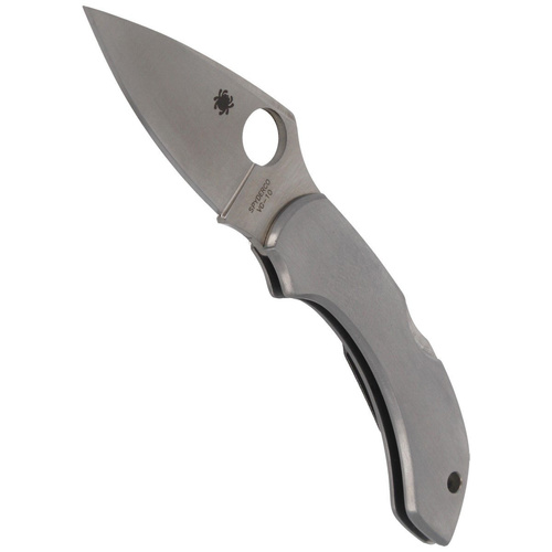 Spyderco - Dragonfly™ Stainless Steel Knife - C28P