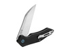 Ganzo - Firebird Folding Knife - D2 - Black - FH31-BK