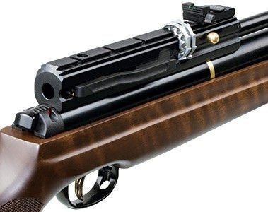 Hatsan - AT44W-10 PCP Air Gun