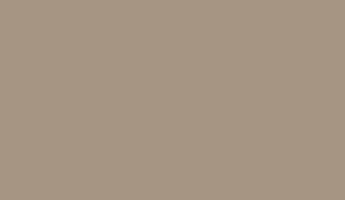 FOSCO - Camouflage Paint RAL 1019 - Desert
