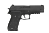 WE - Replica of F226 MK25 Pistol - Black - WET-02-003333