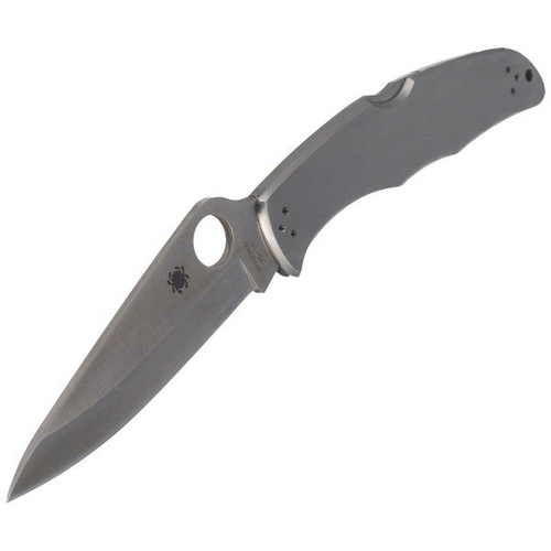 Spyderco - Endura® 4 Stainless Steel Knife - C10P