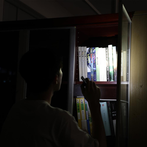 Fenix - Tactical Pen EDC - Black - T6 black