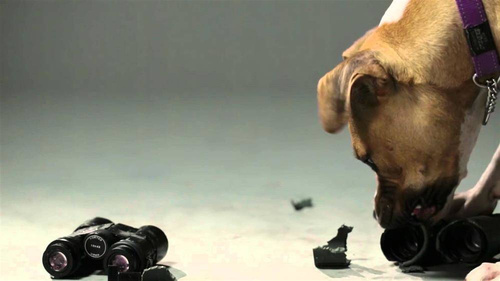 Vortex Optics - Defender 44 - 48-53 mm Lens Cap - Black - O-44